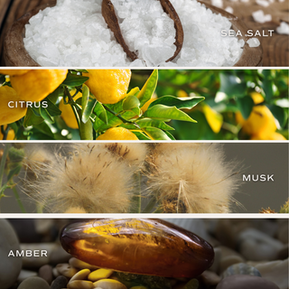 Salt and Sea Air Freshener
