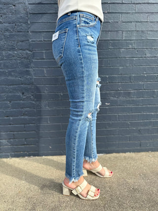 Sydney High Distressed Skinny